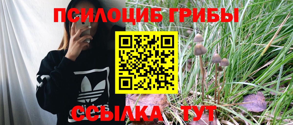 Псилоцибиновые грибы мухоморы Геленджик