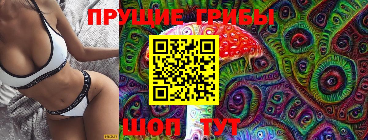 Геленджик  где купить наркотик  Вход с VPN  Псилоцибиновые грибы Magic Shrooms 